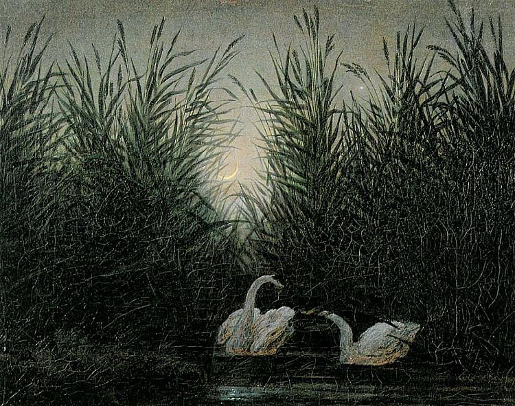 Caspar David Friedrich Schwaene im Schilf oil painting image